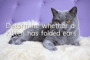 Determine whether a kitten has folded ears