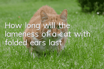 How long will the lameness of a cat with folded ears last?