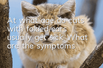 At what age do cats with folded ears usually get sick? What are the symptoms?