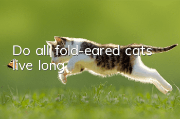 Do all fold-eared cats live long?