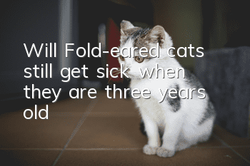 Will Fold-eared cats still get sick when they are three years old?