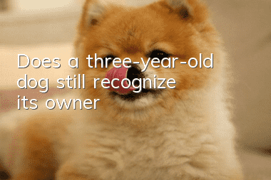 Does a three-year-old dog still recognize its owner?