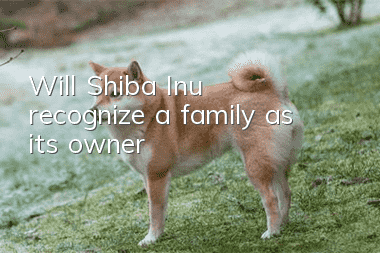 Will Shiba Inu recognize a family as its owner?