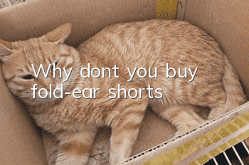 Why don’t you buy fold-ear shorts?