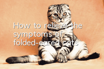 How to relieve the symptoms of folded-eared cats
