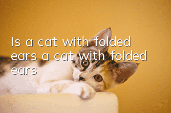 Is a cat with folded ears a cat with folded ears?
