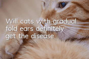 Will cats with gradual fold ears definitely get the disease?