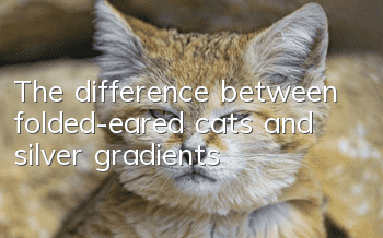 The difference between folded-eared cats and silver gradients