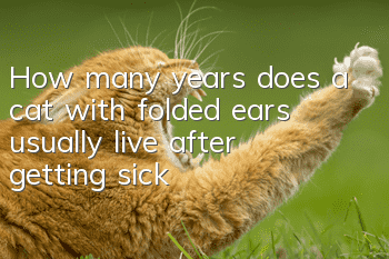 How many years does a cat with folded ears usually live after getting sick?