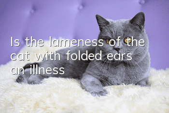 Is the lameness of the cat with folded ears an illness?