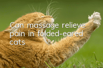 Can massage relieve pain in folded-eared cats?