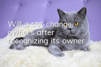 Will a cat change owners after recognizing its owner?
