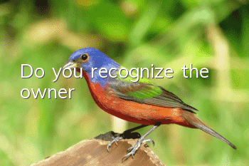 Do you recognize the owner?
