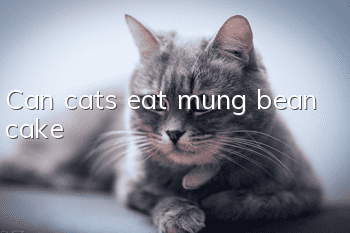 Can cats eat mung bean cake?