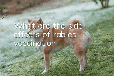 What are the side effects of rabies vaccination?
