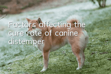 Factors affecting the cure rate of canine distemper