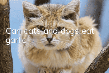 Can cats and dogs eat garlic?