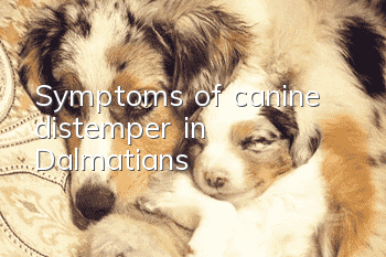 Symptoms of canine distemper in Dalmatians