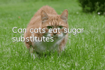 Can cats eat sugar substitutes?