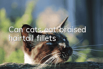 Can cats eat braised hairtail fillets?