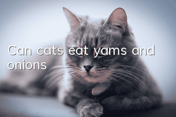 Can cats eat yams and onions?