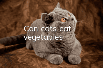 Can cats eat vegetables?