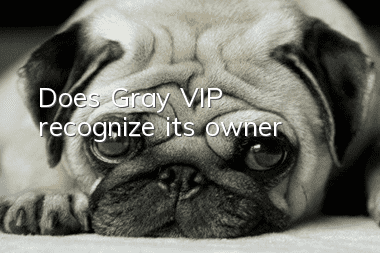 Does Gray VIP recognize its owner?