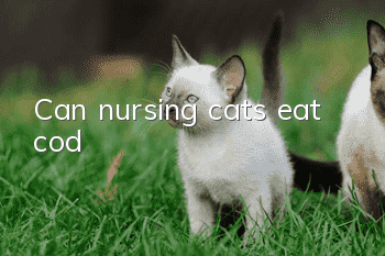 Can nursing cats eat cod?