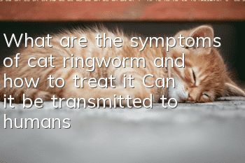 What are the symptoms of cat ringworm and how to treat it? Can it be transmitted to humans?