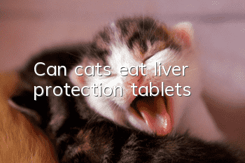 Can cats eat liver protection tablets?