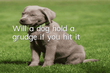 Will a dog hold a grudge if you hit it?