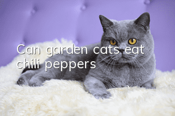 Can garden cats eat chili peppers?