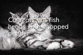 Can cats eat fish heads with chopped pepper?
