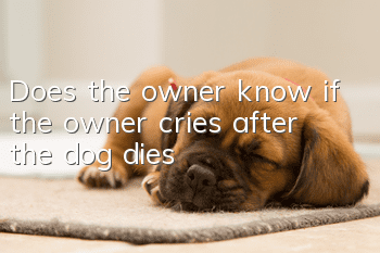 Does the owner know if the owner cries after the dog dies?