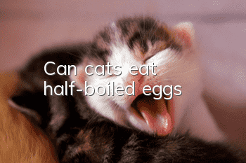 Can cats eat half-boiled eggs?