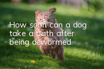 How soon can a dog take a bath after being dewormed?