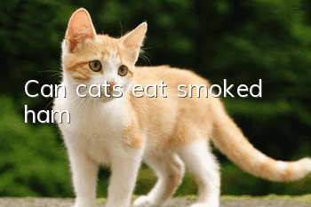 Can cats eat smoked ham?