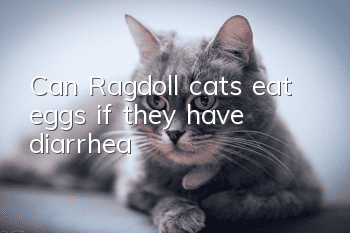 Can Ragdoll cats eat eggs if they have diarrhea?
