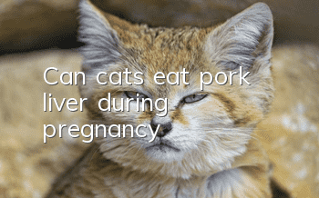 Can cats eat pork liver during pregnancy?