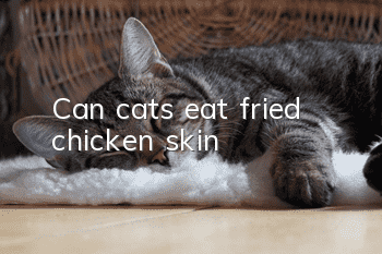 Can cats eat fried chicken skin?