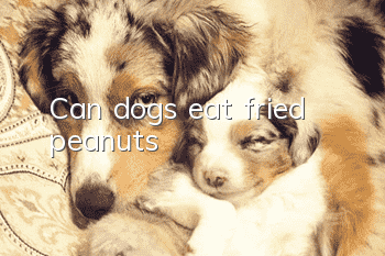Can dogs eat fried peanuts?