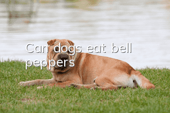 Can dogs eat bell peppers?