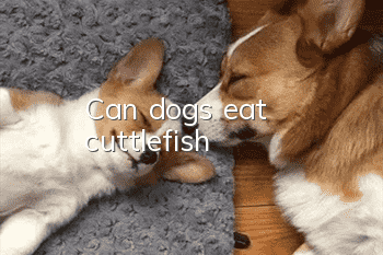 Can dogs eat cuttlefish?