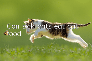 Can sick cats eat cat food?