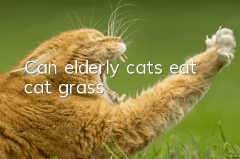 Can elderly cats eat cat grass?