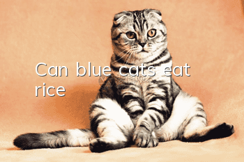 Can blue cats eat rice?