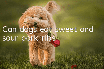 Can dogs eat sweet and sour pork ribs?