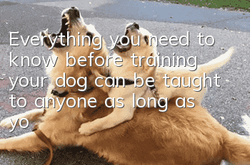 Everything you need to know before training your dog can be taught to anyone as long as you know how to do it!