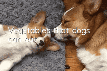 Vegetables that dogs can eat