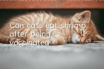 Can cats eat shrimp after being vaccinated?